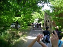 Resize of DSCN2125